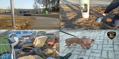 181 interwencji Straży Miejskiej w Szczecinku w tydzień.