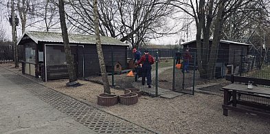 Nie tylko kara. W Szczecinku więźniowie pomagają zwierzętom