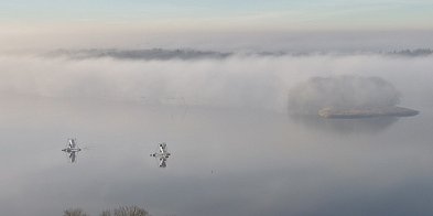 Mgły i mróz. Na drogach może być ślisko-51483