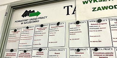Końcówka roku z dużą liczbą ofert pracy.-51709