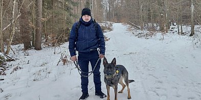 Tam, gdzie zawodzi człowiek, wkracza Zara