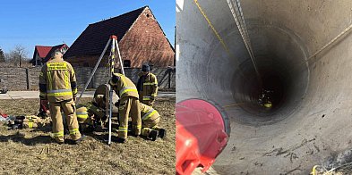 Zwierzęta w pułapce pod ziemią