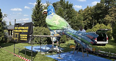 Nowe życie kruka. Tym razem w kolorach tęczy-49332