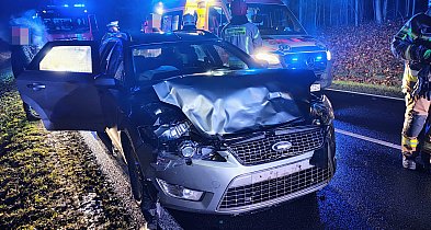 Jeleń wyskoczył prosto pod maskę. Kierowca trafił do szpitala-50252