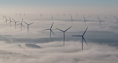 Gęste mgły w regionie. IMGW wydał ostrzeżenie-50538