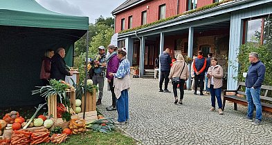 ZAZ w Juchowie z gwarancją finansowania na 2026 rok-50714