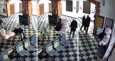 Co za akcja! Porwał wielkiego różowego misia. Został schwytany po pościgu-50898