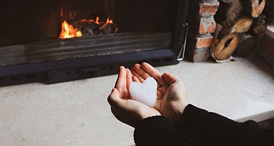 Piecyk na pellet czy drewno? Wybieramy opał do domku letniskowego-51279