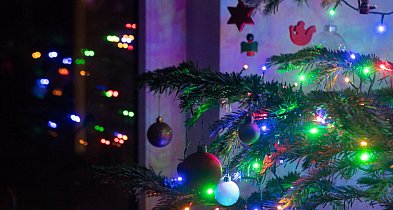 Choinka niejedno ma imię-51623