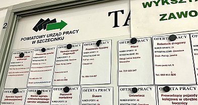 Końcówka roku z dużą liczbą ofert pracy. Sprawdź aktualne ogłoszenia-51709