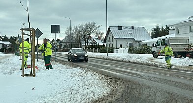 Akcja zima w Szczecinku. PGK pracuje na pełnych obrotach-51970