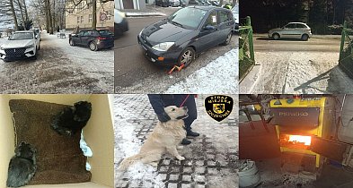 Straż Miejska Szczecinek: 105 interwencji w tydzień.-52000