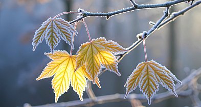 Silny mróz nad regionem. IMGW ostrzega mieszkańców Szczecinka