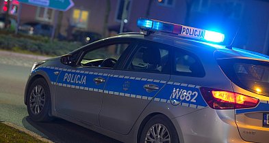 Akcja kryminalnych. Poszukiwani i narkotyki w rękach policji.