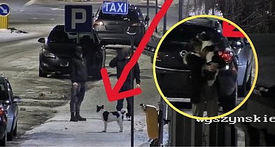 Kilka minut i po strachu. Pomógł miejski monitoring