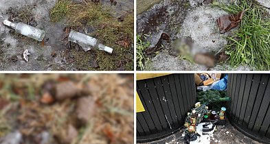 Mieszkanka ujawnia brudną prawdę: Robią z miasta szambo!