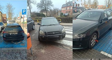 164 interwencje Straży Miejskiej w tydzień.