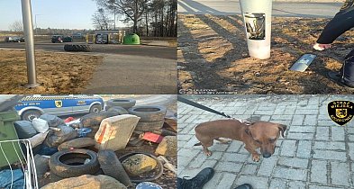 181 interwencji Straży Miejskiej w Szczecinku w tydzień.