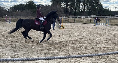 Wiosna zaczęła się na parkurze! Kolejny sparing w Biskupicach za nami.