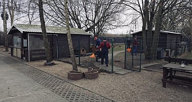 Nie tylko kara. W Szczecinku więźniowie pomagają zwierzętom
