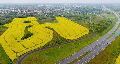 Jeden przetarg, miliony na stole. Ratusz liczy pieniądze