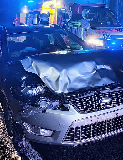 Jeleń wyskoczył prosto pod maskę. Kierowca trafił do szpitala-50252