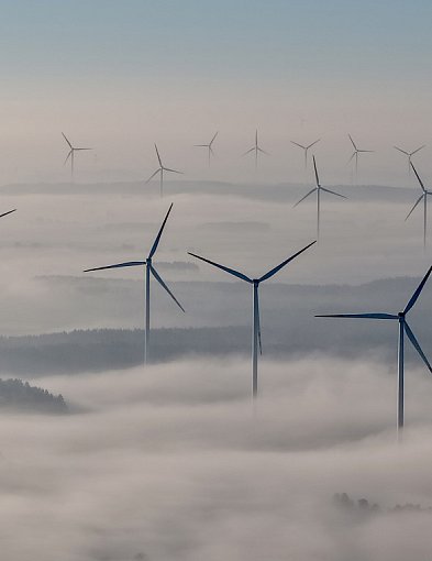 Gęste mgły w regionie. IMGW wydał ostrzeżenie-50538