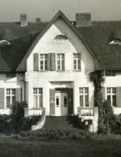 Dzieje Dzików od założenia osady w 1560 roku po dramatyczne losy powojenne.-50771