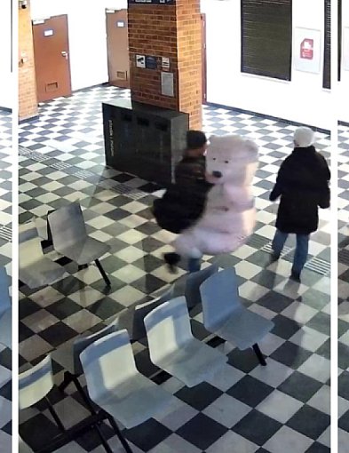 Co za akcja! Porwał wielkiego różowego misia. Został schwytany po pościgu-50898