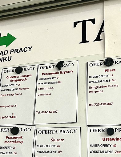 Końcówka roku z dużą liczbą ofert pracy. Sprawdź aktualne ogłoszenia-51709