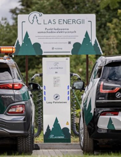 Las Energii dotarł do Szczecinka. Przy nadleśnictwie naładujesz elektryka-51874