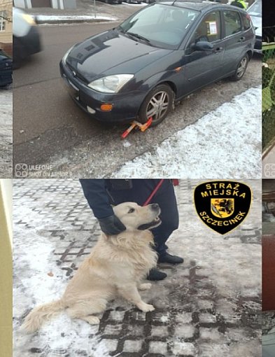 Straż Miejska Szczecinek: 105 interwencji w tydzień.-52000