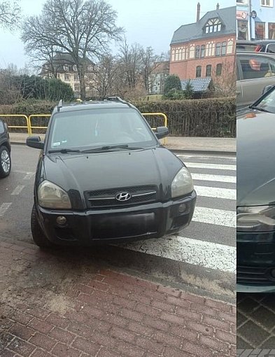 164 interwencje Straży Miejskiej w tydzień.