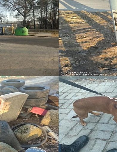 181 interwencji Straży Miejskiej w Szczecinku w tydzień.