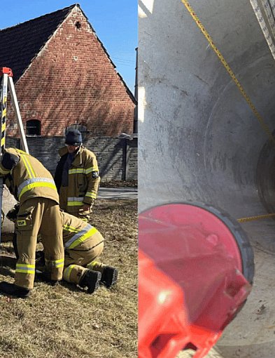 Nietypowa interwencja. Zwierzęta w pułapce pod ziemią