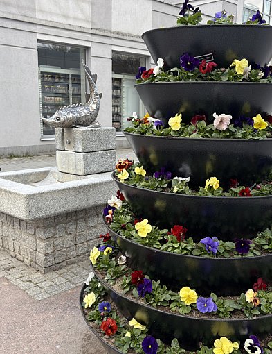 Coraz więcej kolorów w mieście. PGK ruszyło z nasadzeniami