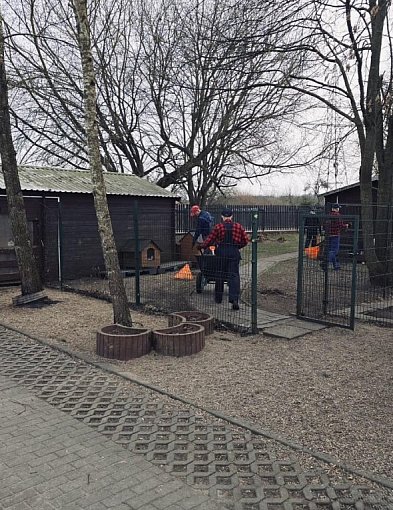 Nie tylko kara. W Szczecinku więźniowie pomagają zwierzętom