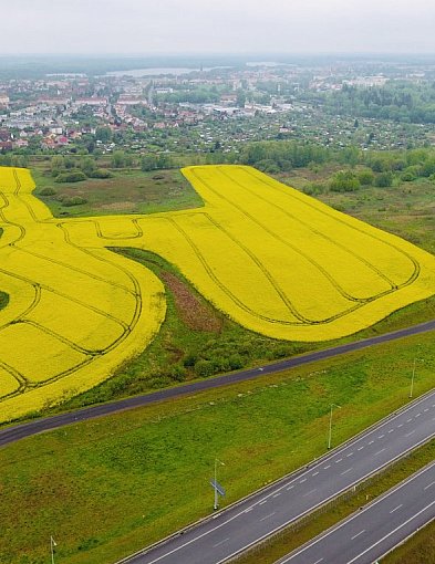 Jeden przetarg, miliony na stole. Ratusz liczy pieniądze