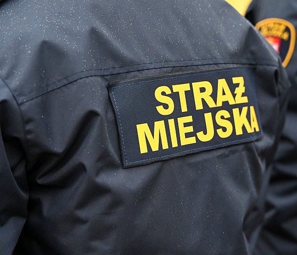 Zapuka strażnik, zapłacisz karę. Ruszyły kontrole w całej Polsce-49978