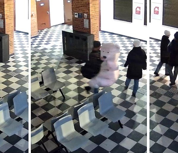 Co za akcja! Porwał wielkiego różowego misia. Został schwytany po pościgu-50898