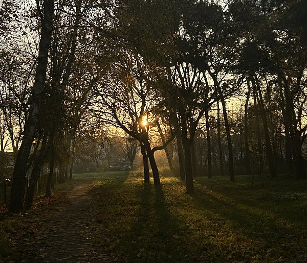 Nadchodzi najkrótszy dzień w 2025 roku. Sprawdź, kiedy przypadnie-51595