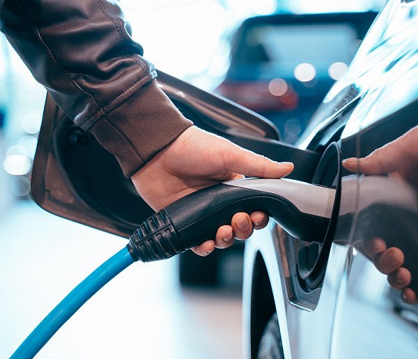 Coraz częściej dochodzi do takich kradzieży. Powody zaskakują-52188