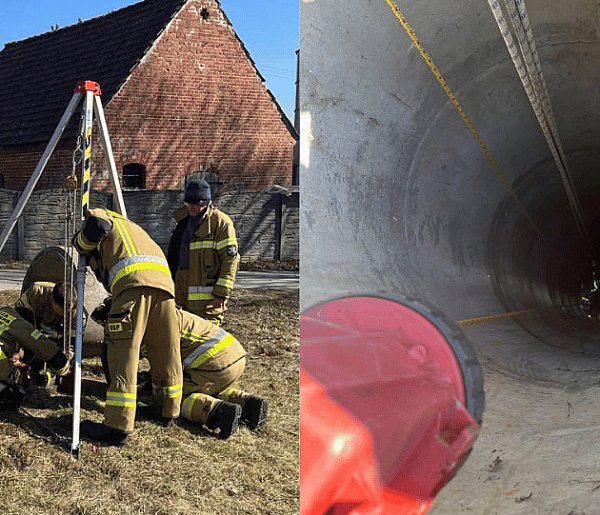 Nietypowa interwencja. Zwierzęta w pułapce pod ziemią