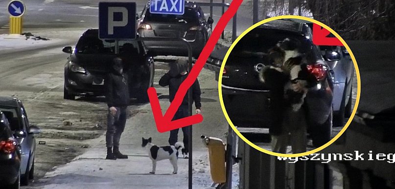 Kilka minut i po strachu. Pomógł miejski monitoring