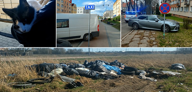 Szczecinek: lawina mandatów za parkowanie.