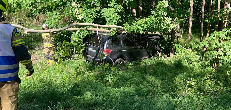 Niebezpiecznie na DK11. Subaru wjechało w drzewa