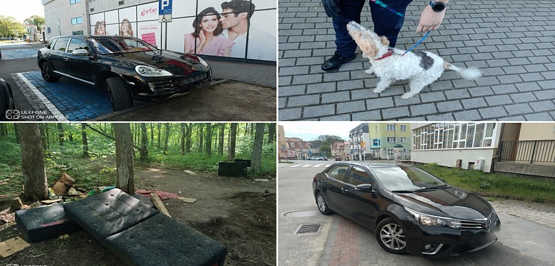 Szczecinek: 60 interwencji za zakłócanie porządku w tydzień