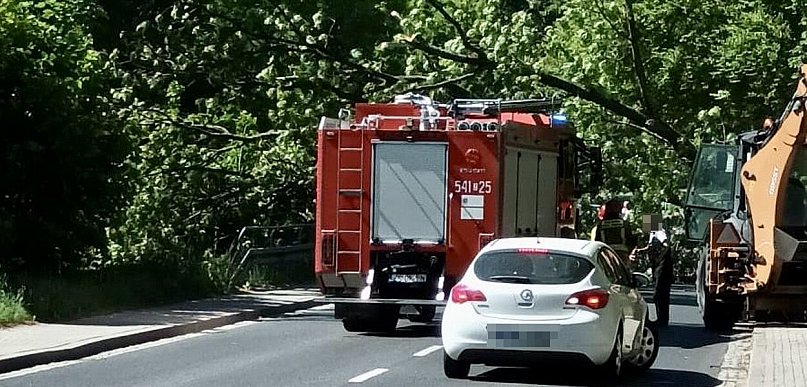 Ogromne drzewo runęło na ulicę Szczecińską. Droga została zablokowana