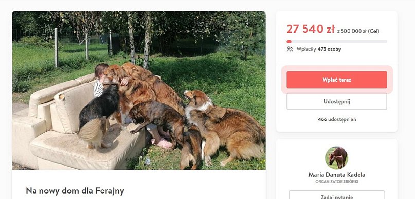 Ruszyła zbiórka dla Psikątka Tośkowej Ferajny