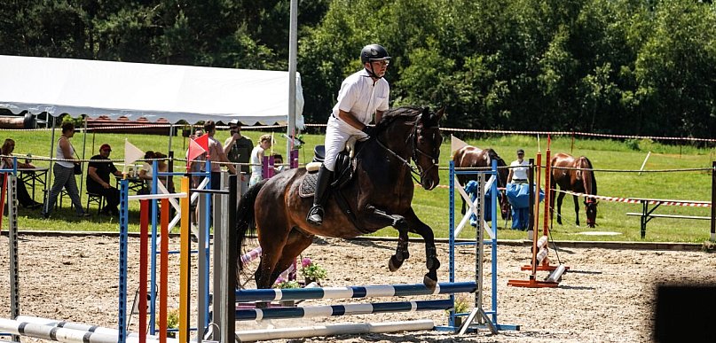 Zawody jeździeckie w Biskupicach. 151 startów.